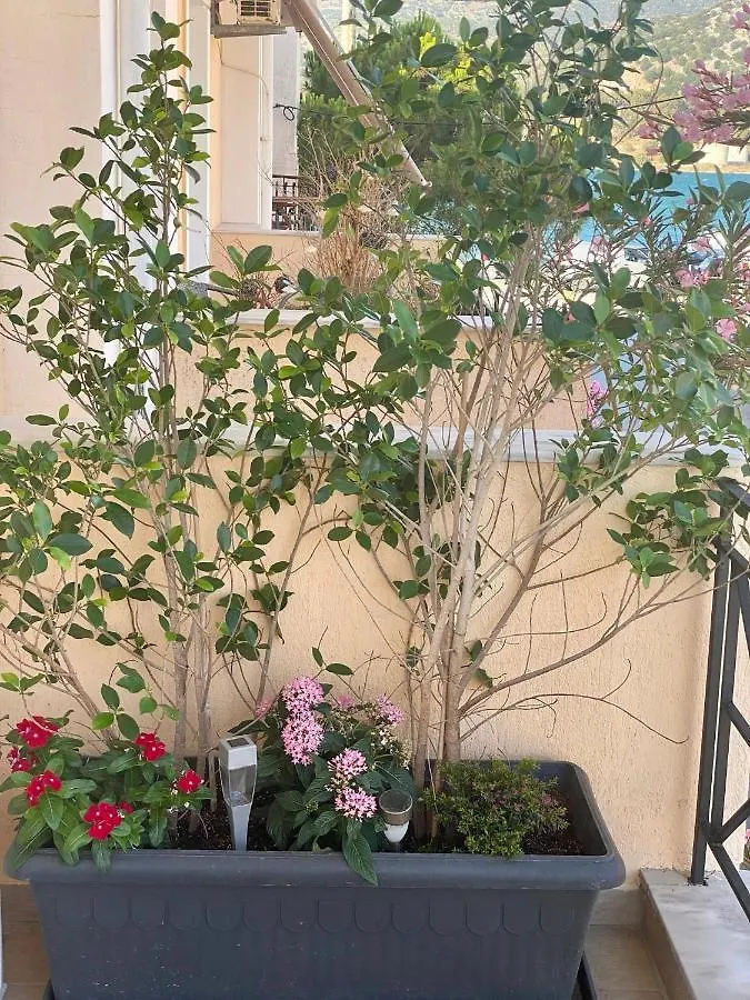 Filippos Apartments Argostoli